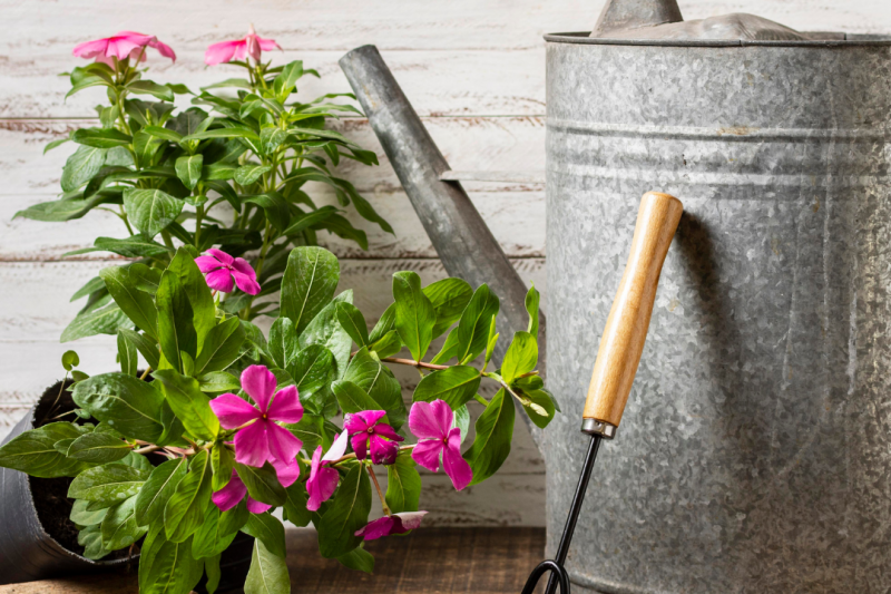 Regador de Alumínio para Decoração: Estilo e Praticidade Regador de Alumínio para Decoração: Estilo e Praticidade
