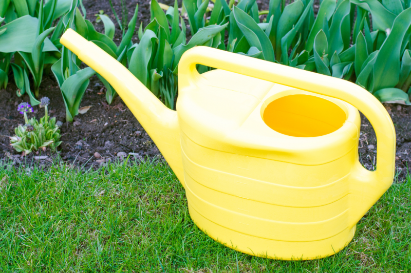Como Escolher o Regador de Plantas 10L Ideal para Seu Jardim Como Escolher o Regador de Plantas 10L Ideal para Seu Jardim
